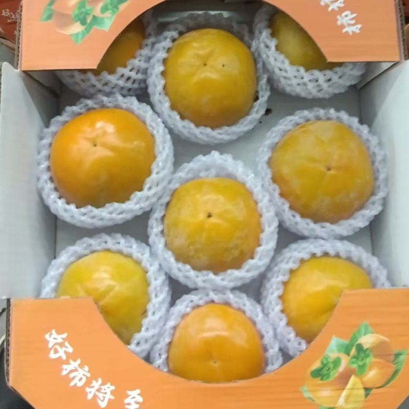 新鲜应季，现摘正宗阳丰脆柿，对接各大商超团购，礼盒订购