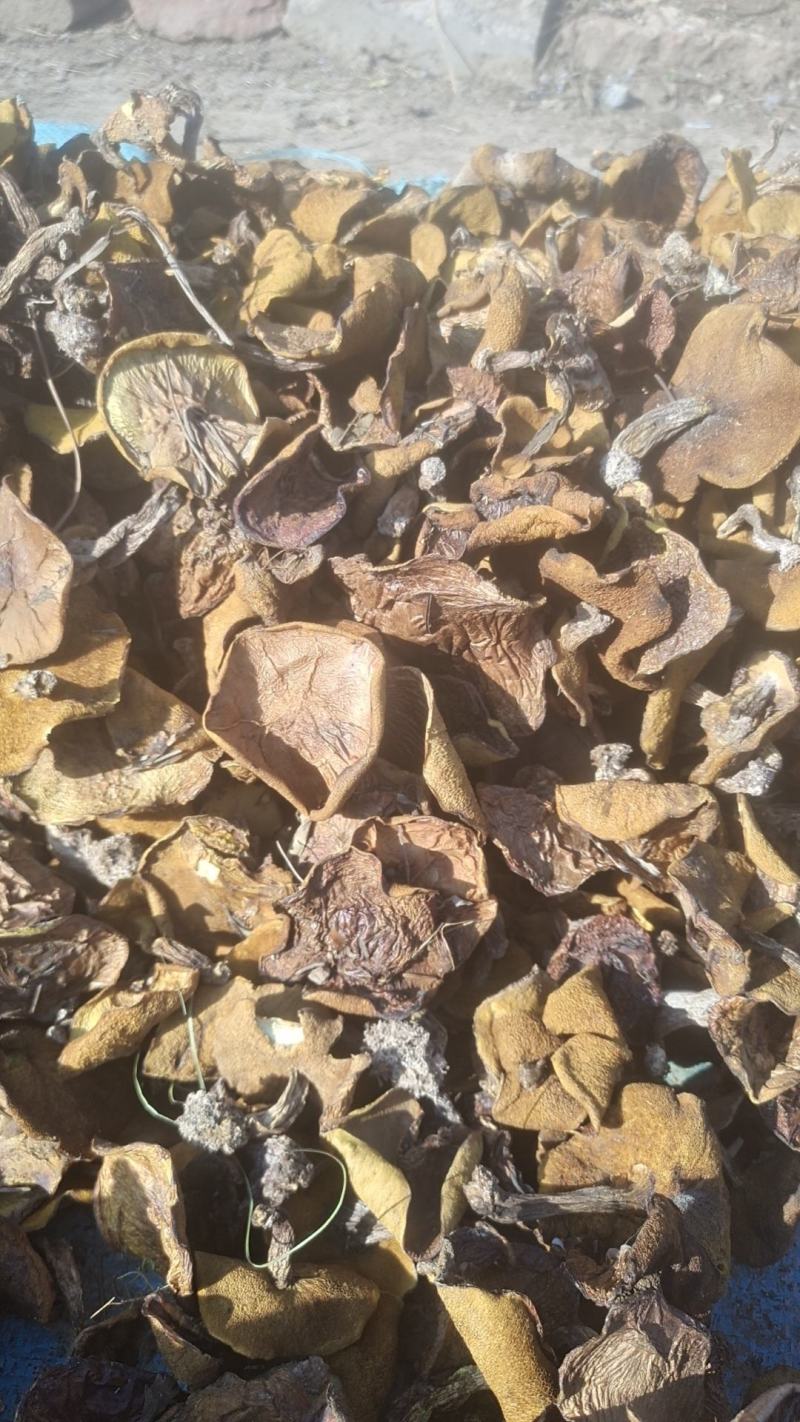 烤干1.5-3的小片最后4箱160斤需要的联系处理价格便
