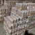 金针菇出菇菌棒纯棉籽壳熟料2茬菇出菜2斤以上