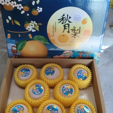 秋月梨礼盒，一件代发
