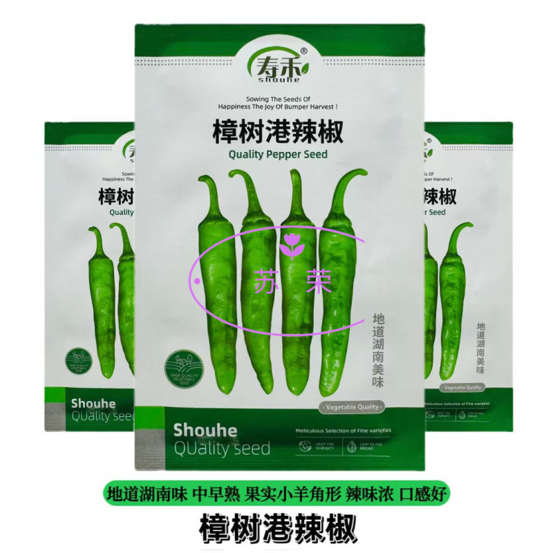 樟树港辣椒种子正宗樟树港椒出芽率高四季高产新种品牌种