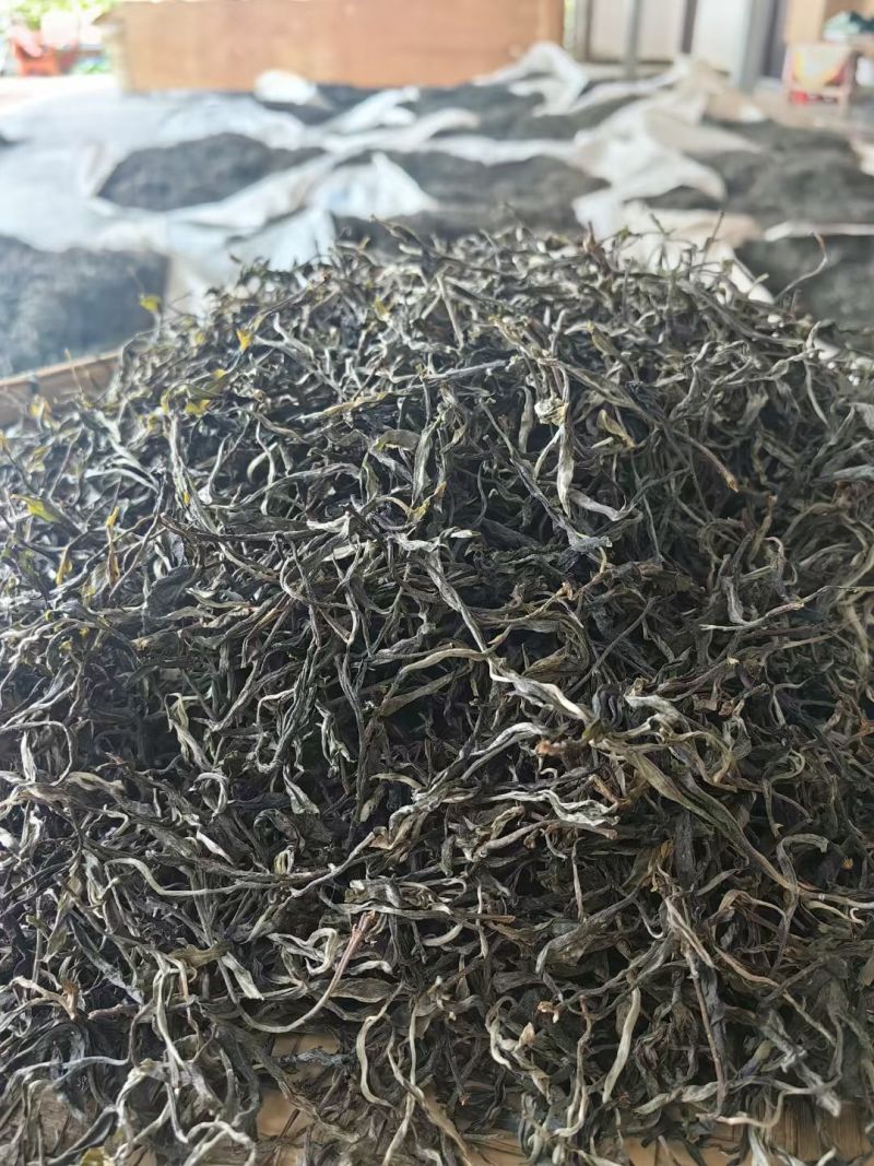 古树普洱茶