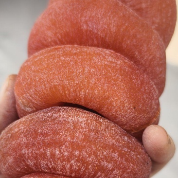 【精品圆饼】河北柿饼一手货源专业供应农家自制糖心霜降柿饼