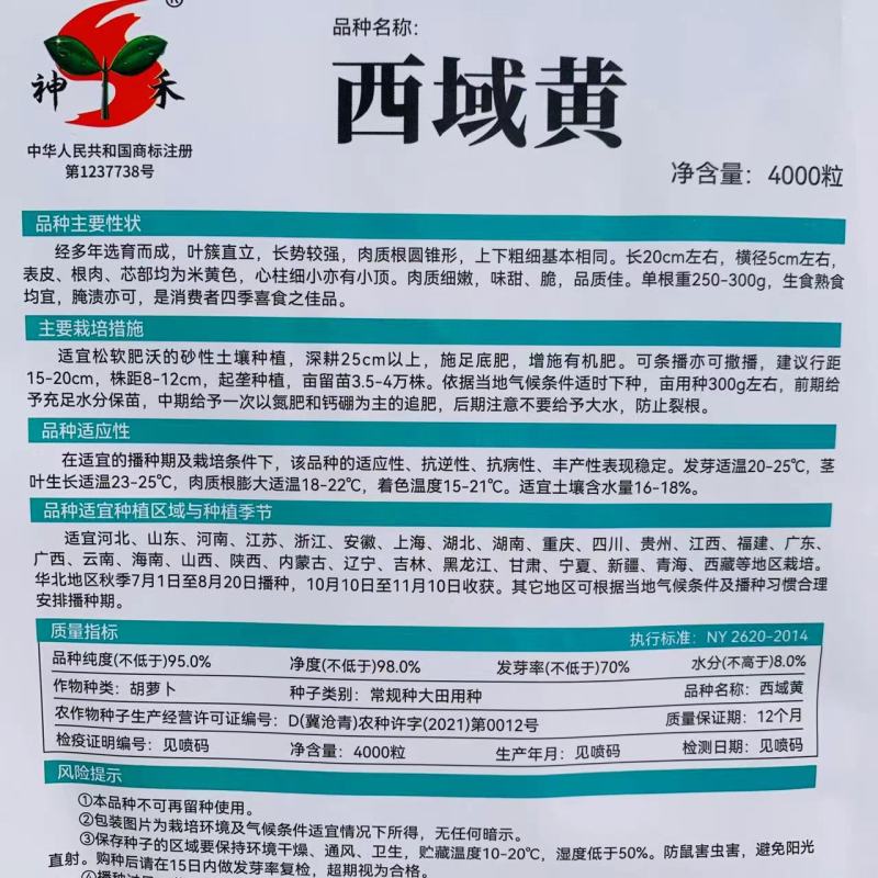 神禾西域黄胡萝卜种籽小顶皮厚芯米黄色胡萝卜种子甜脆