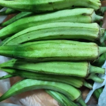 青黄秋葵