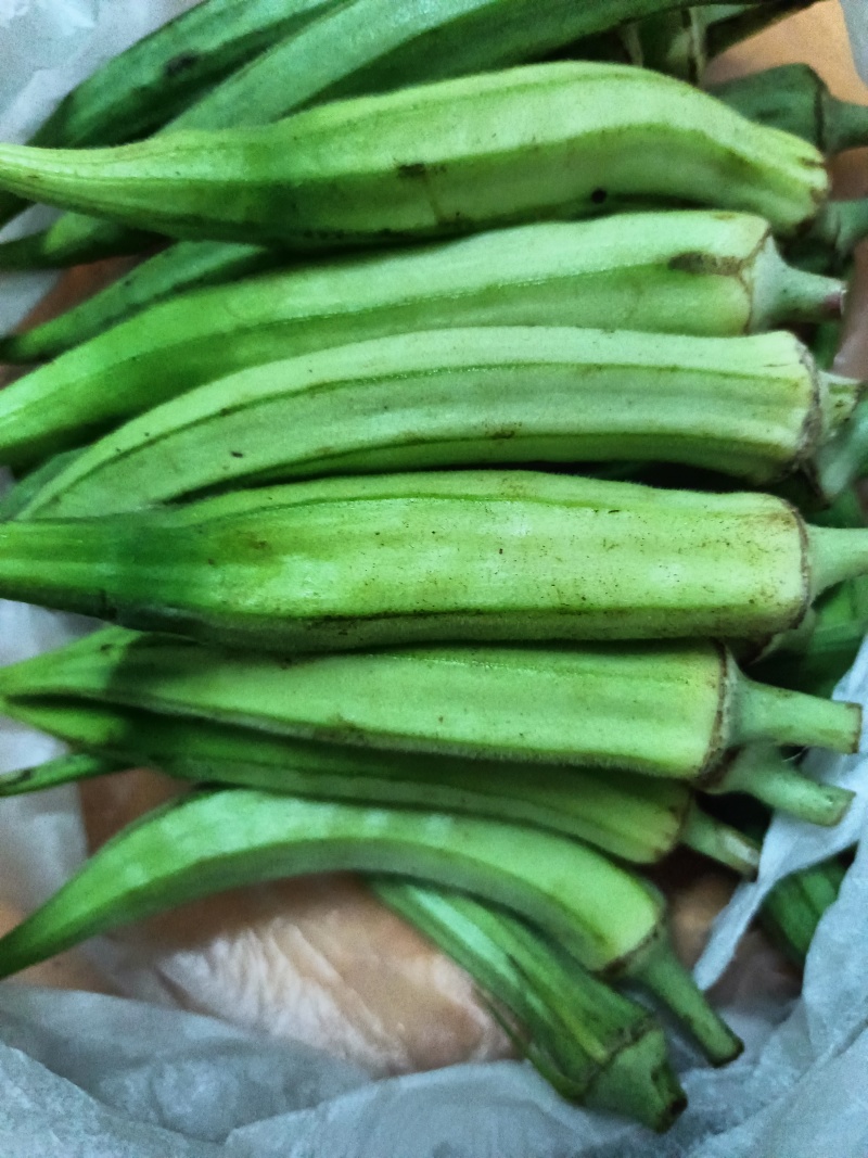 青黄秋葵