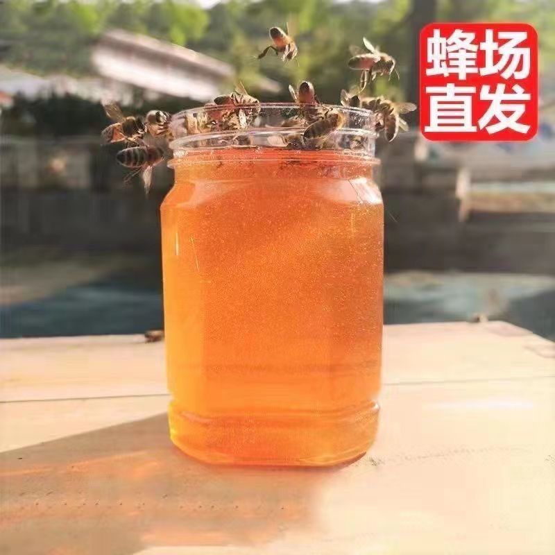 【蜂场直发】精品土蜂蜜品质正宗量大从优对接电商团购