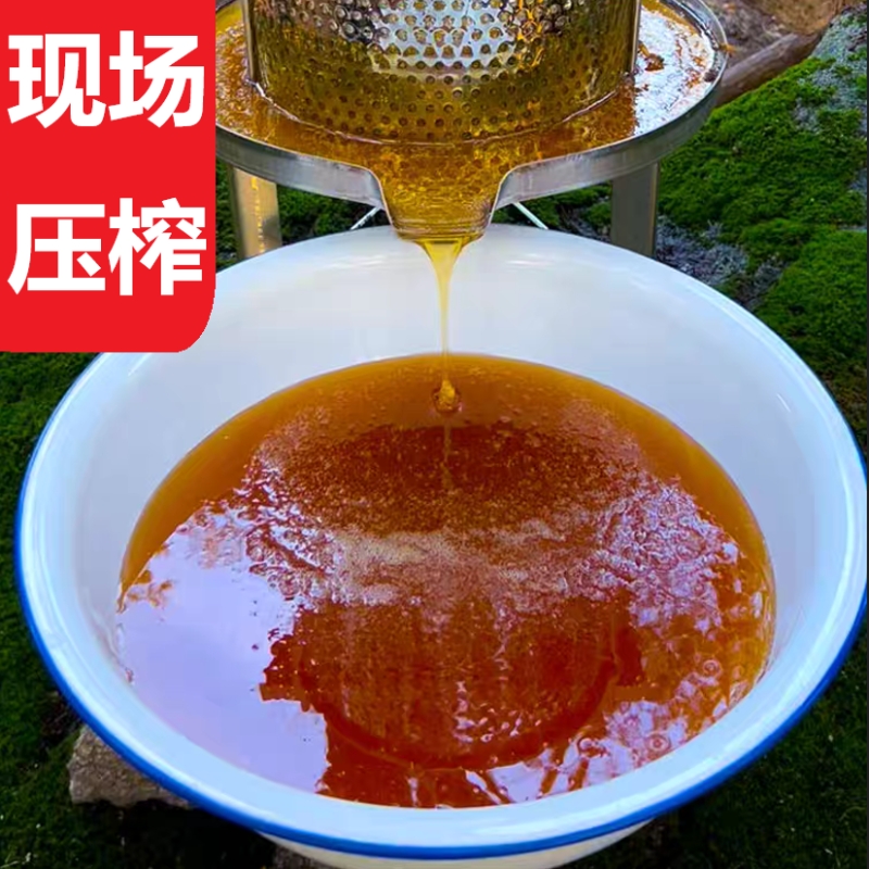 【蜂场直发】精品土蜂蜜品质正宗量大从优对接电商团购