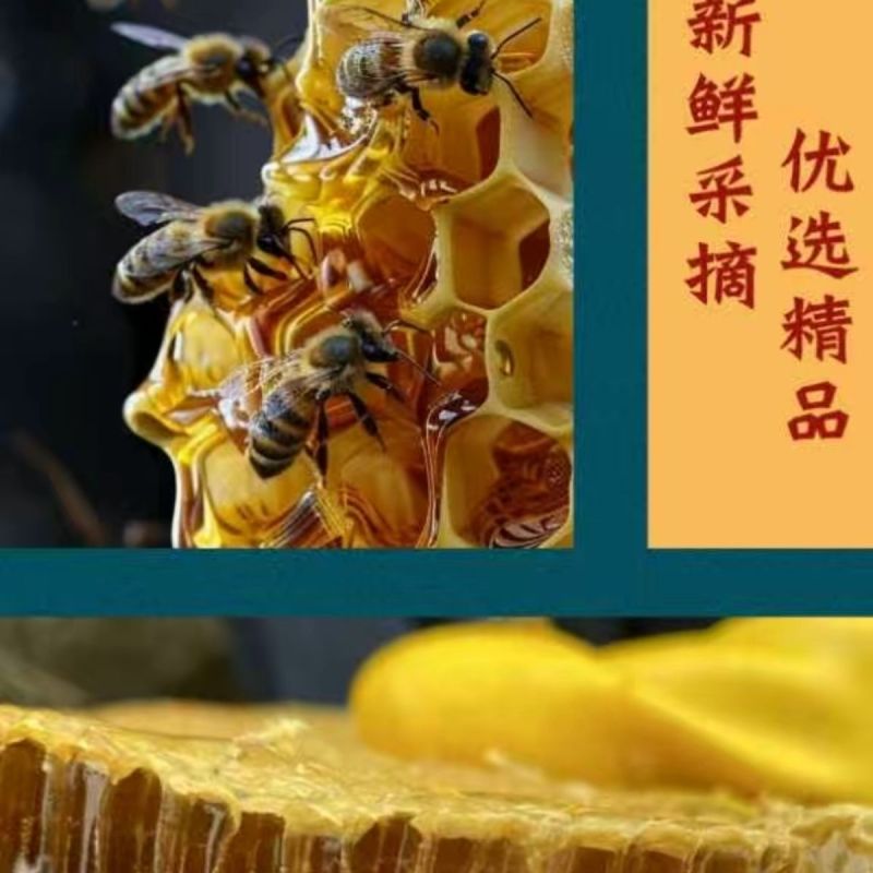 【新鲜采摘】甘肃精品百花蜜粘稠纯厚清新甜润