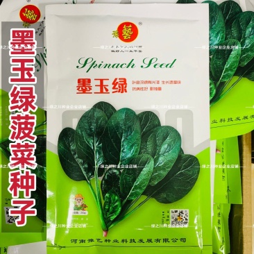 豫艺杂交菠菜种子墨玉绿菠菜种籽深绿色耐寒春秋越冬蔬菜种子