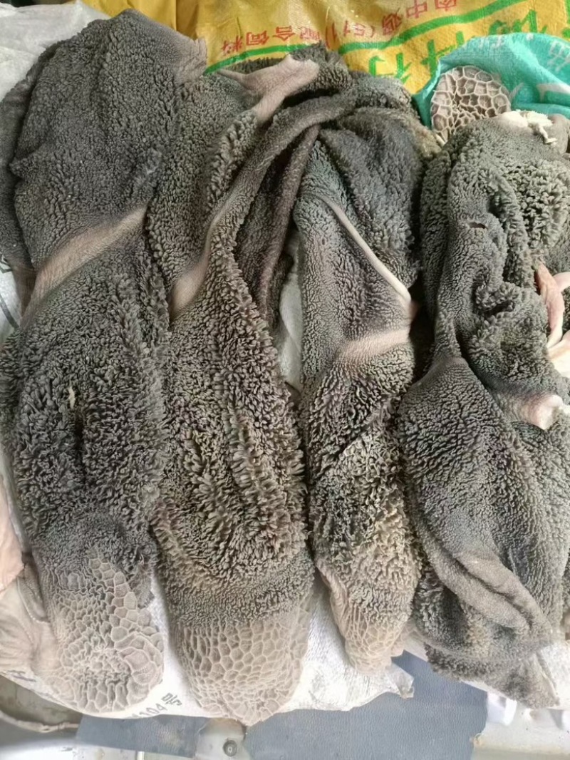 羊肚黑毛肚
