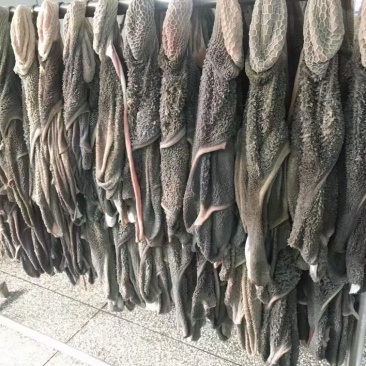 羊肚黑毛肚