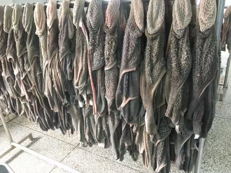 羊肚黑毛肚