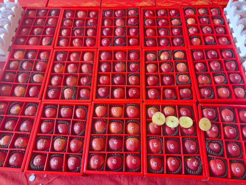精品红露