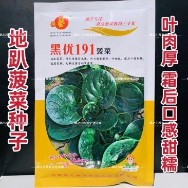 豫艺黑优191菠菜种子趴地菠菜黑圆叶笨菠菜种籽耐寒蔬菜籽