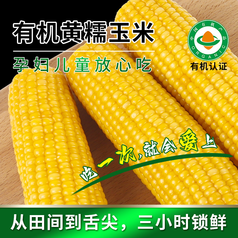 东北糯玉米粘玉米有机玉米黄白玉米一件代发贴牌批发福老乡
