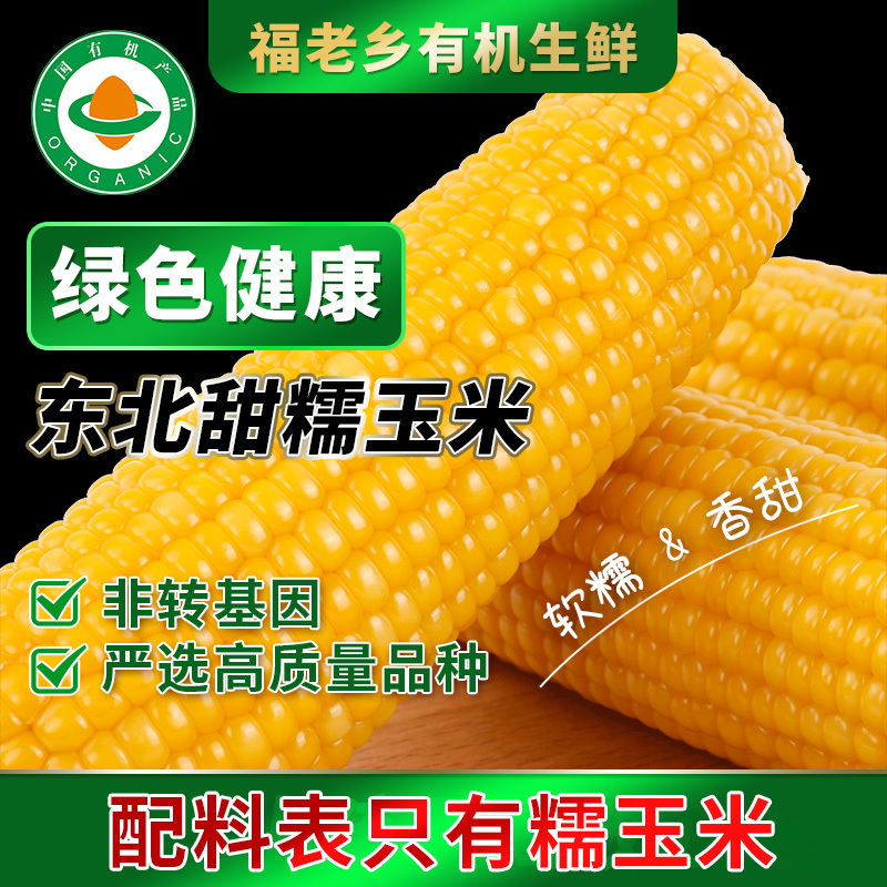 东北糯玉米粘玉米有机玉米黄白玉米一件代发贴牌批发福老乡