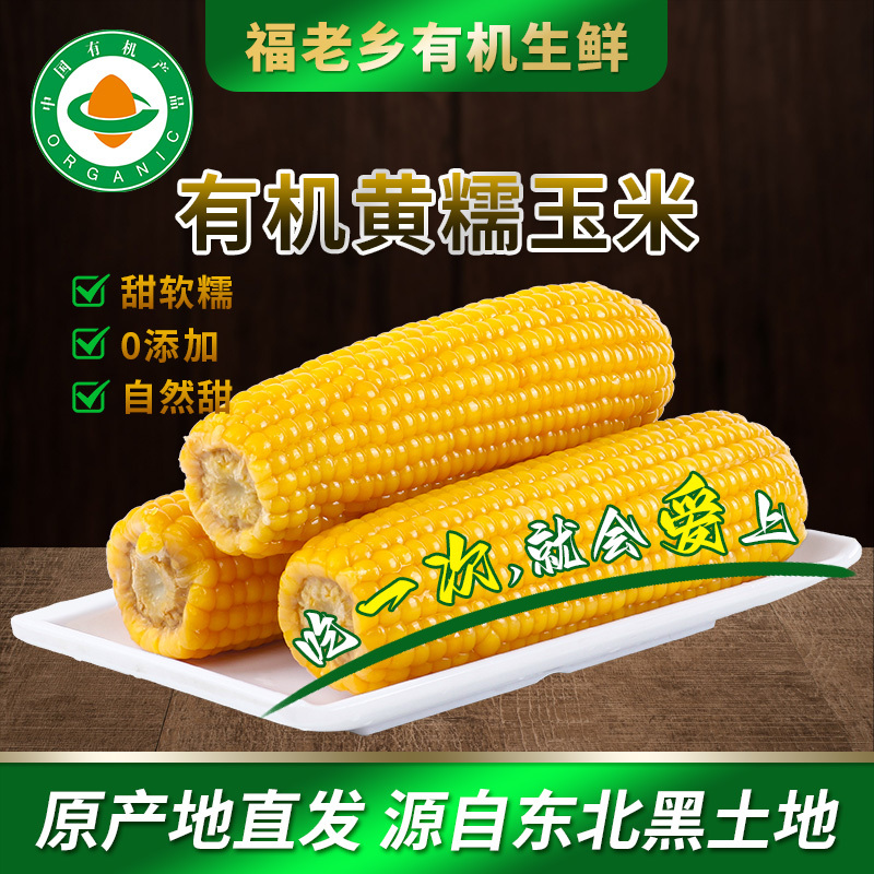 东北糯玉米粘玉米有机玉米黄白玉米一件代发贴牌批发福老乡