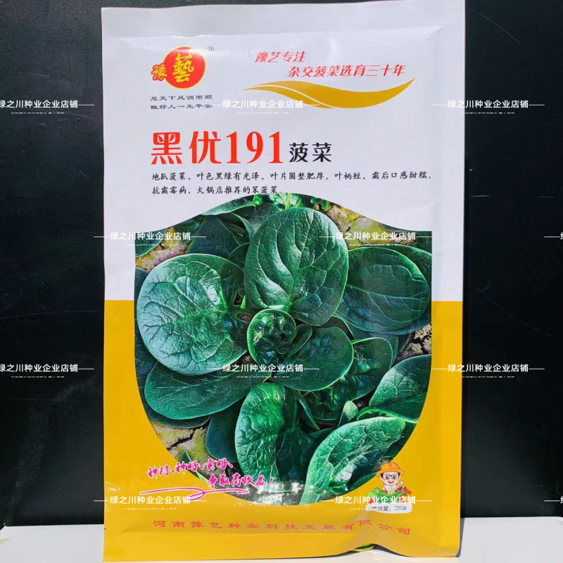 豫艺黑优191菠菜种子趴地菠菜黑圆叶笨菠菜种籽耐寒蔬菜籽