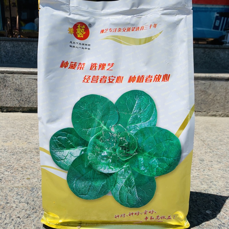 豫艺黑优191菠菜种子趴地菠菜黑圆叶笨菠菜种籽耐寒蔬菜籽
