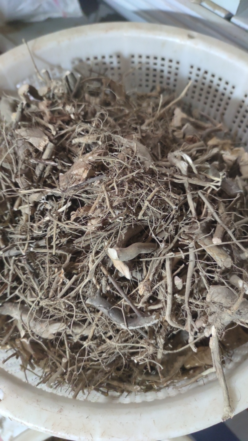 白花牛奶根干货