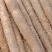 大西北沙漠白玉山药产地直发大量有货