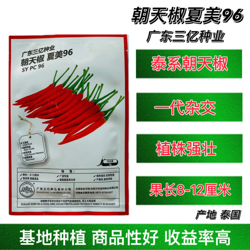 夏美96朝天椒种子泰系中晚熟高产抗病辣椒种籽大田基地