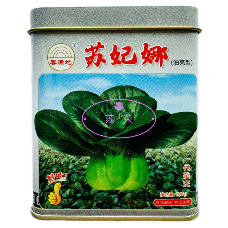 春满地苏妃娜油亮型青梗菜苏州青种子一代杂交抗逆性好耐运输