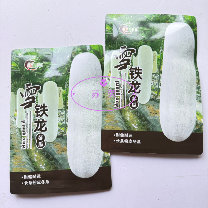 晨丰雪铁龙粉皮冬瓜种子中熟炮弹形白皮冬瓜籽腔小肉厚高产耐