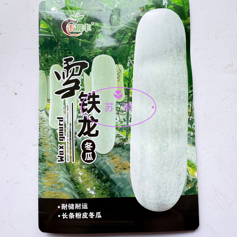 晨丰雪铁龙粉皮冬瓜种子中熟炮弹形白皮冬瓜籽腔小肉厚高产耐