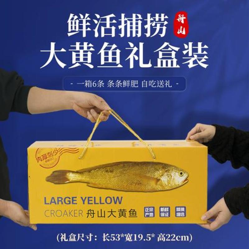 舟山大黄鱼大礼包高档礼盒装端午节日送礼新鲜深海黄花鱼海鲜