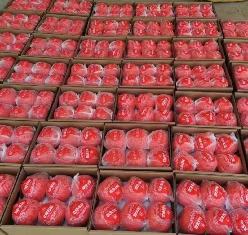 一直坚持做高端产品。口感才是我们**的保障。