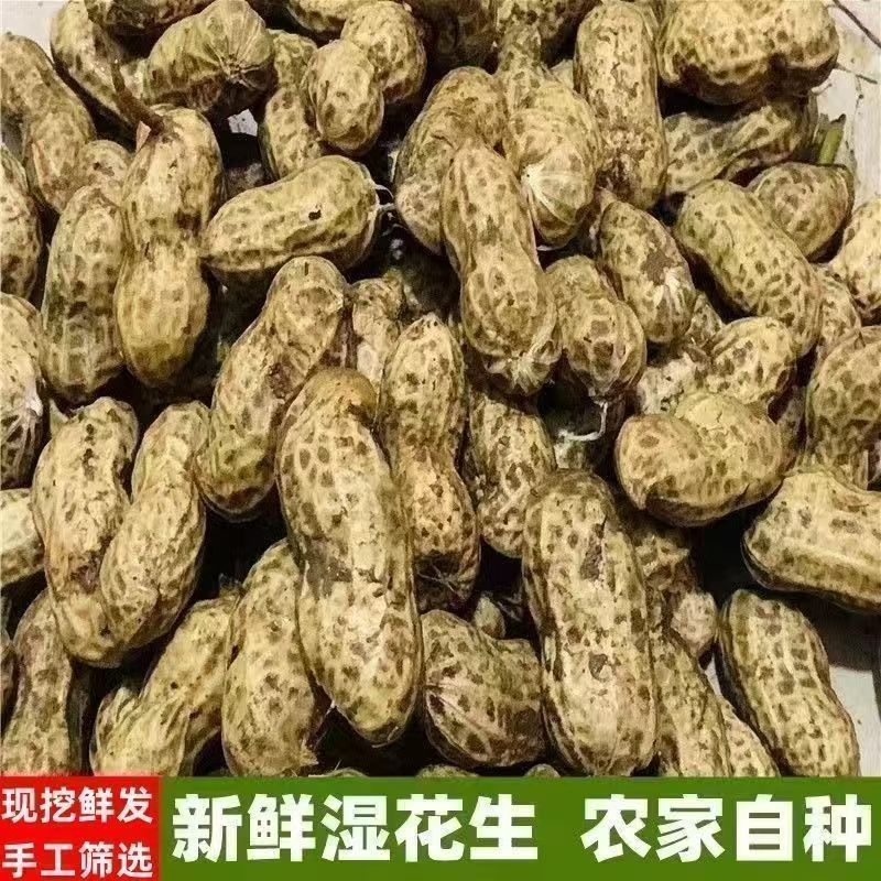 鲜花生！
