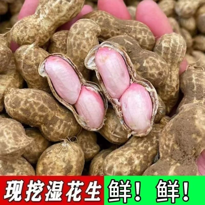 鲜花生！