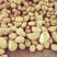 刚挖新鲜干洗土豆黄心无烂无黑心质量好品质保证大量现货供应