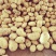 刚挖新鲜干洗土豆黄心无烂无黑心质量好品质保证大量现货供应