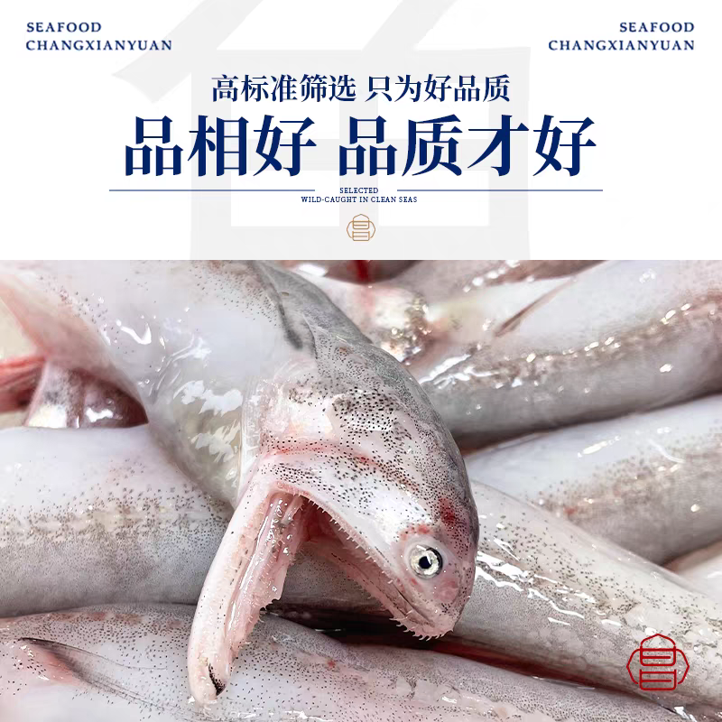 厂家直供东海龙头鱼，价格随行情