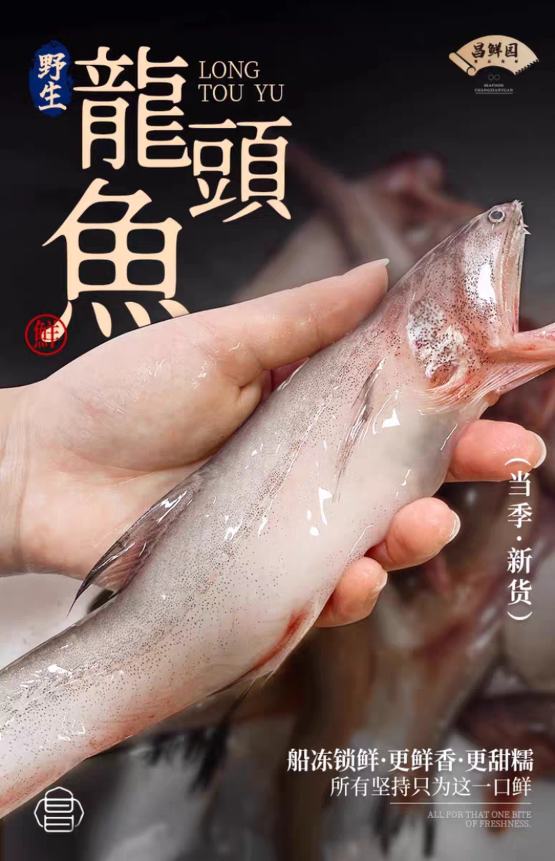 厂家直供东海龙头鱼，价格随行情