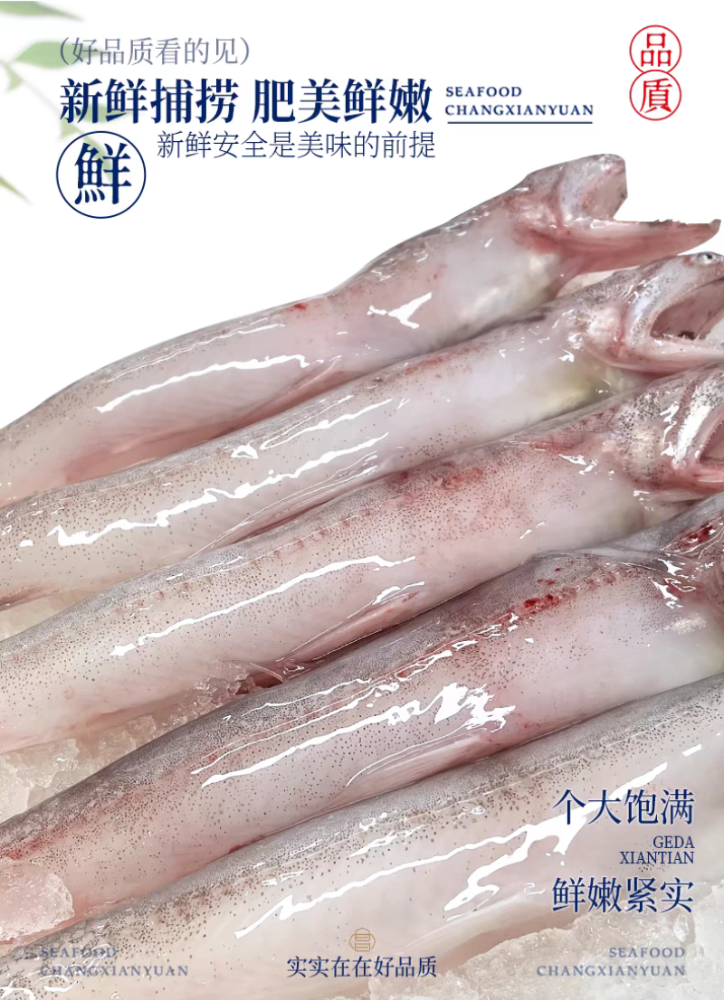 厂家直供东海龙头鱼，价格随行情