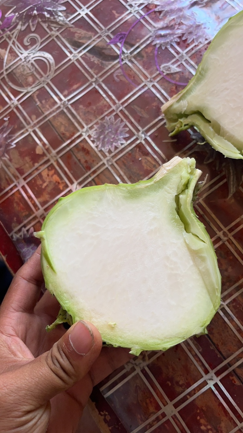陕西定边有腌制苤蓝，水果苤蓝欢迎下单咨询