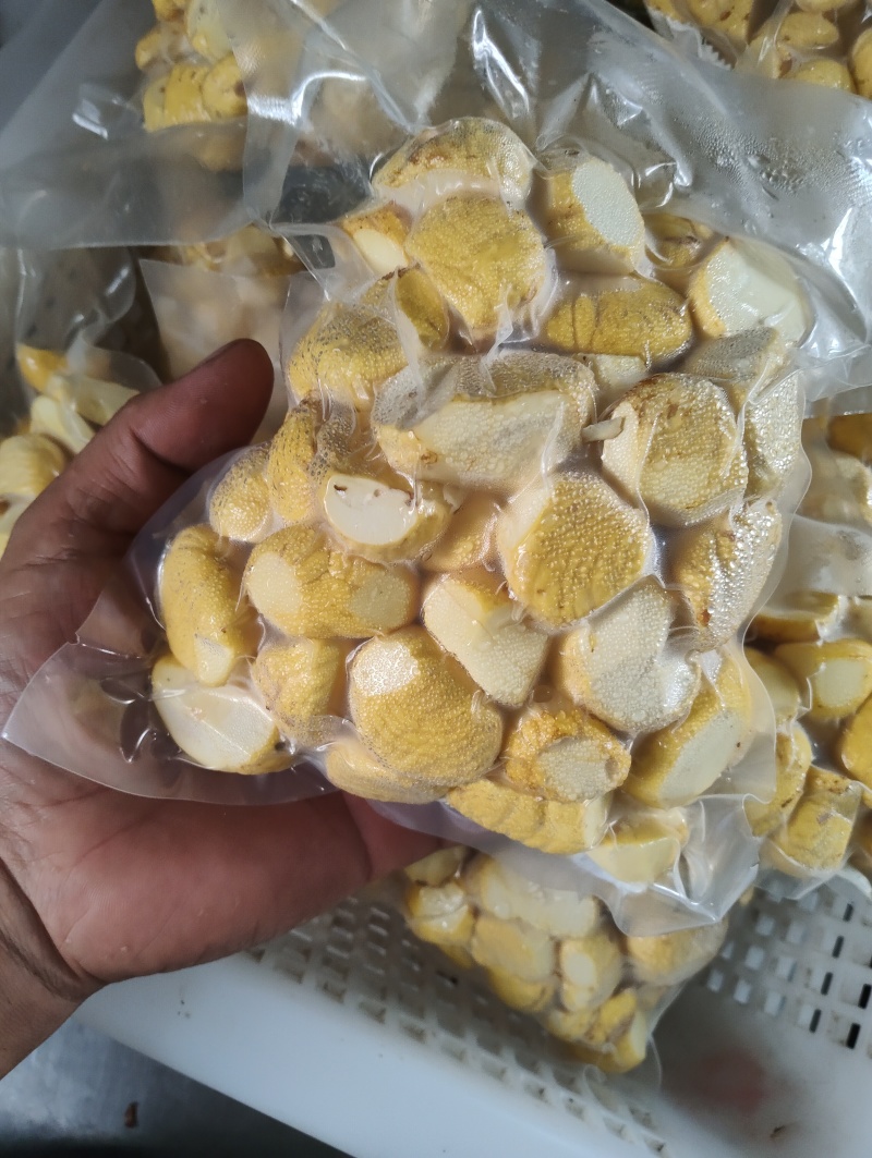 刀削板栗仁碎栗仁大量有货，欢迎新老客户前来合作