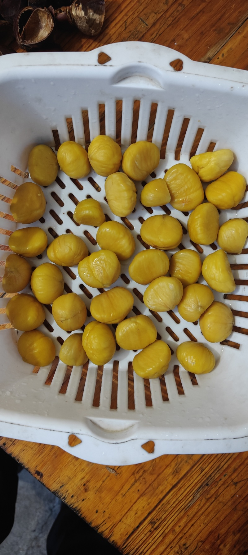 高品质油栗大量供应