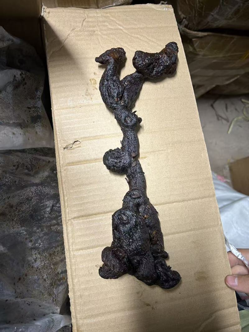 九蒸九晒野生黄精大量有货，欢迎咨询