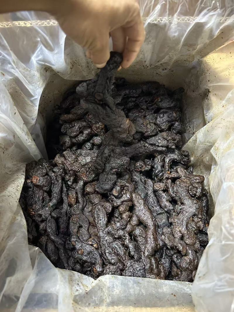 九蒸九晒野生黄精大量有货，欢迎咨询
