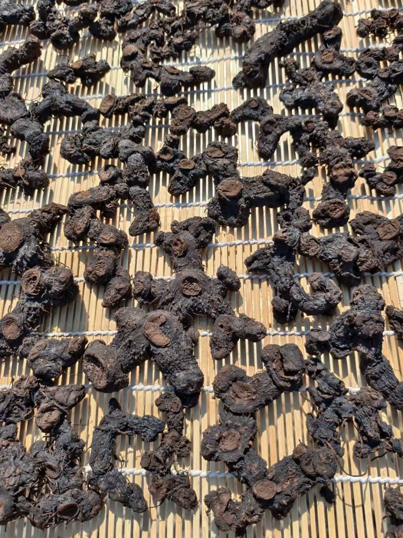 九蒸九晒野生黄精大量有货，欢迎咨询