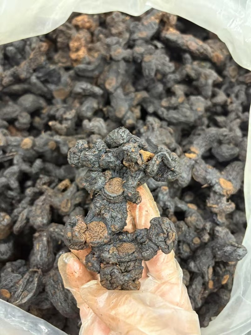九蒸九晒野生黄精大量有货，欢迎咨询