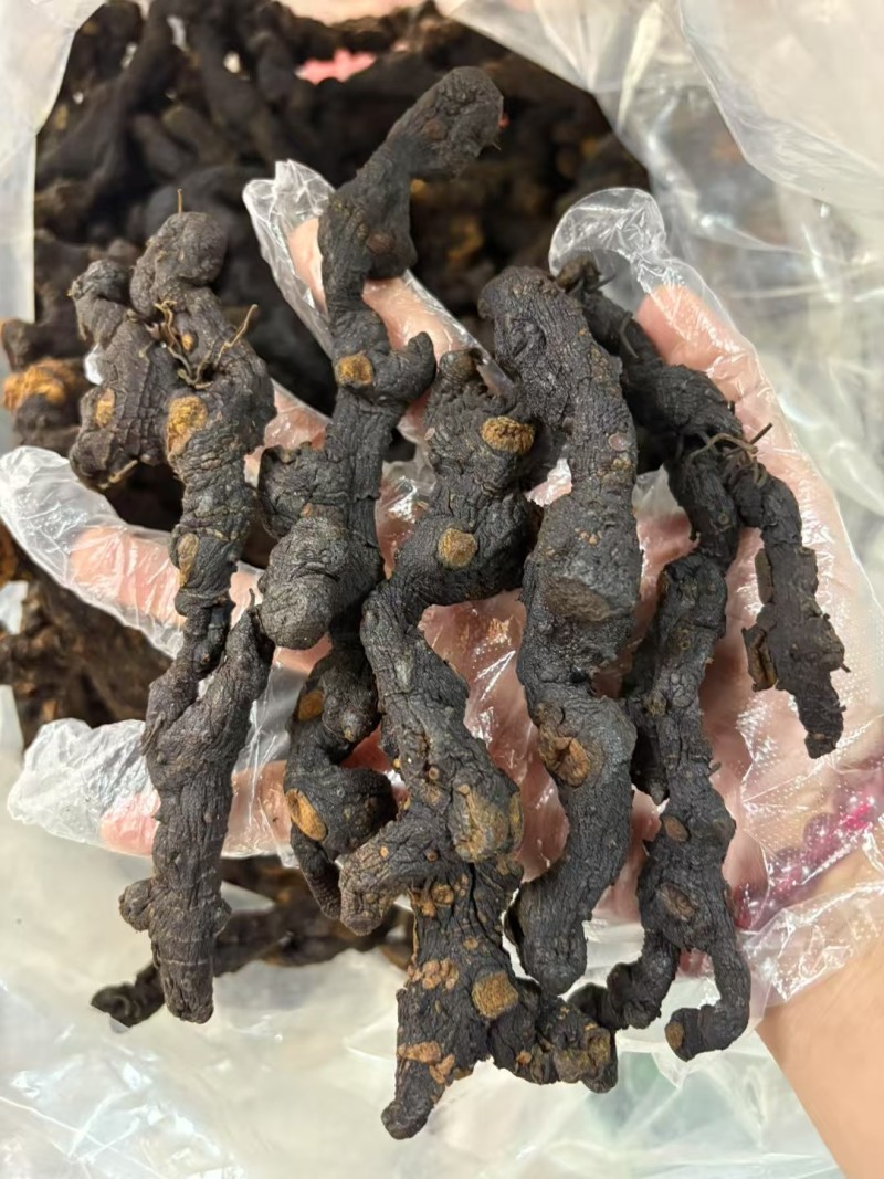 九蒸九晒野生黄精大量有货，欢迎咨询