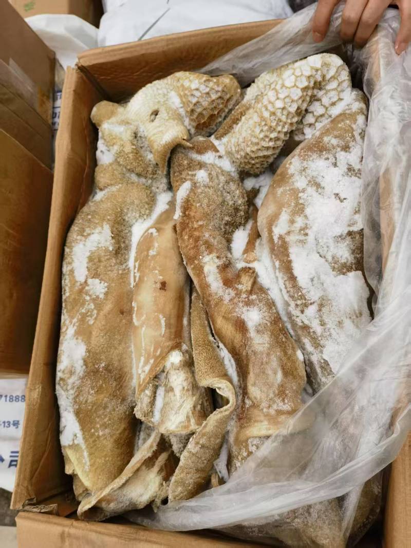 牛肚半成品纯清水煮水退纯干货质量好的很精品中的精