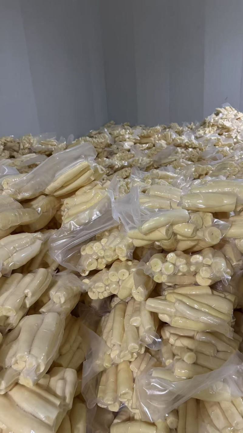 黄心木薯华南9号大量供应，一手货源，量大从优