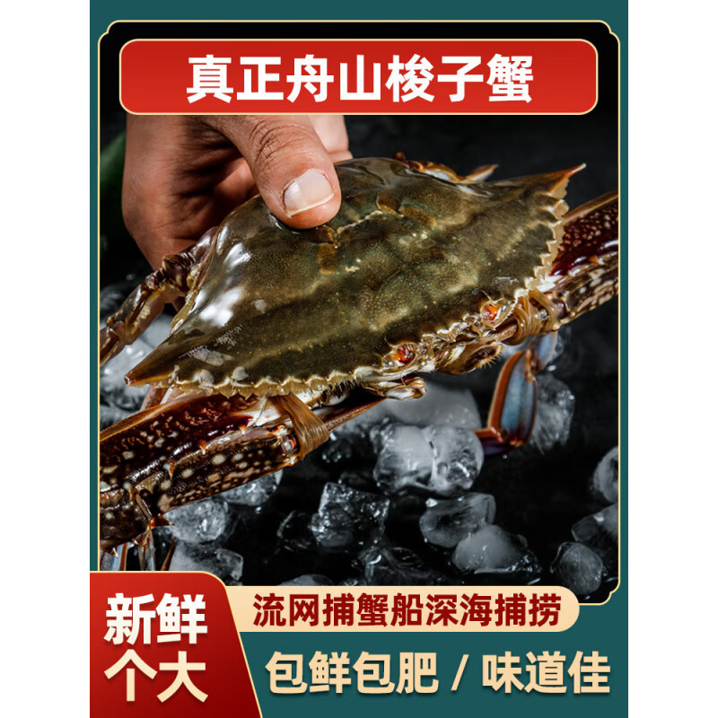 舟山梭子蟹鲜活冻新鲜特大海鲜海蟹飞蟹3-4两3斤多只多规
